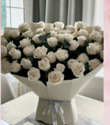 50 Classic white Roses