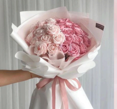 25 Classic Pink Roses